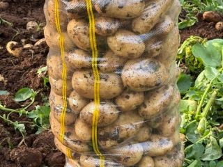Hola! Nos dedicamos a la Importación y Exportación de
