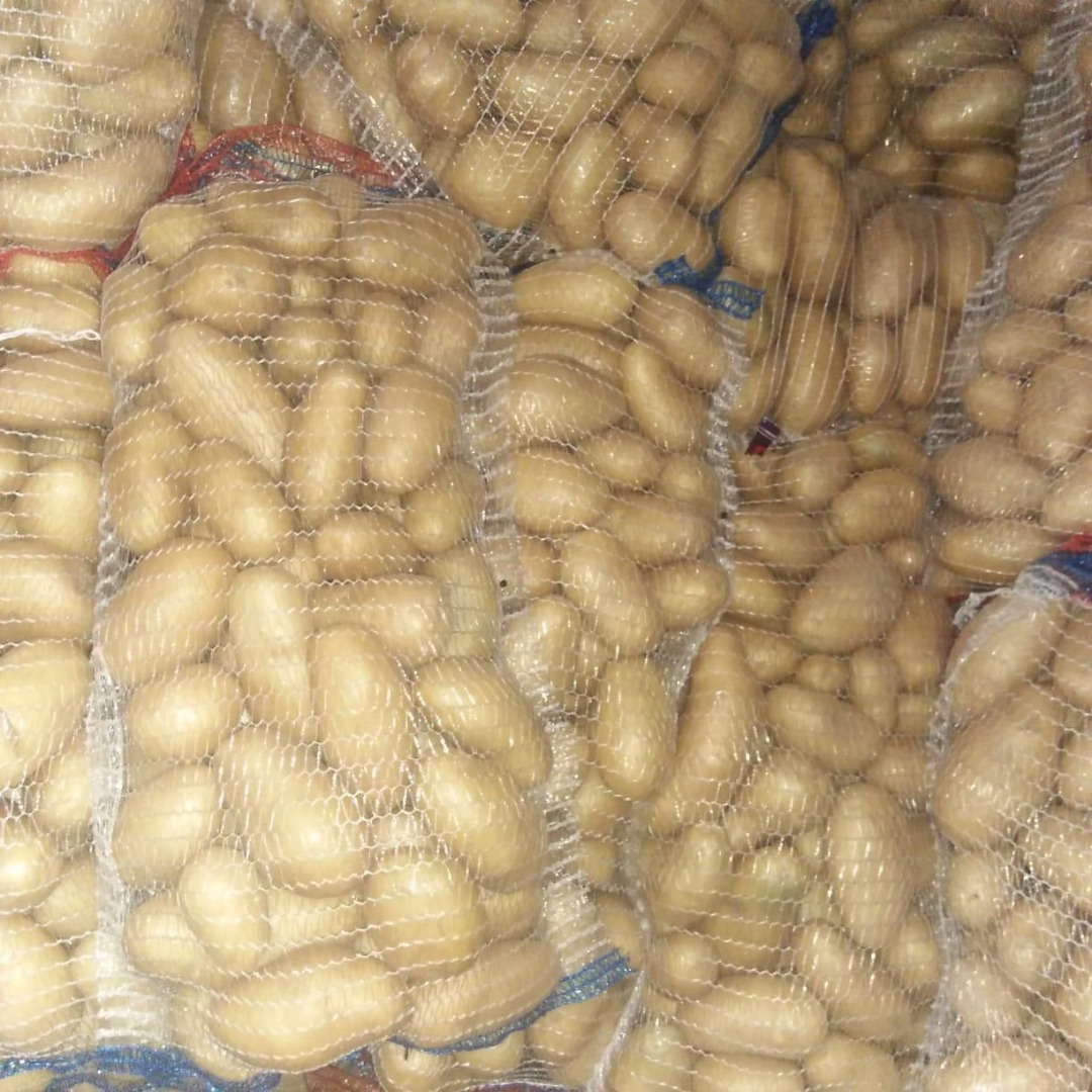 Hola! Nos dedicamos a la Importación y Exportación de Frutas, Verduras y Frutos Secos