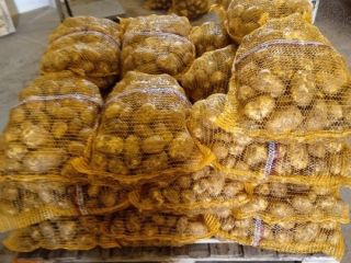 patatas de primera calidad, calibre 5+, envase de 15