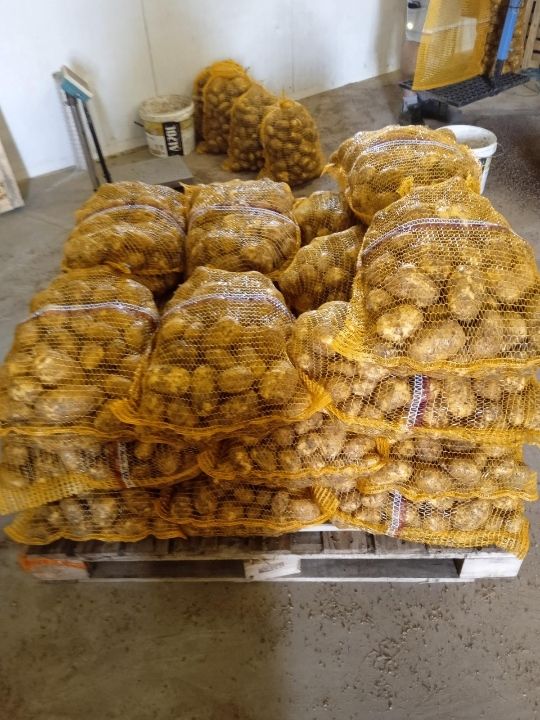 patatas de primera calidad, calibre 5+, envase de 15 kg netos, el precio incluye el envío del producto a España
