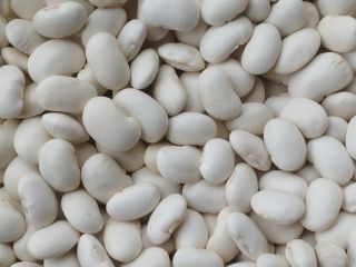 Hola, tenemos judías enanas a la venta, tamaño 90-120g/100g.