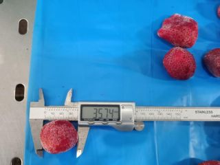 Fresas congeladas IQF Fecha de producción: abril-mayo de 2024