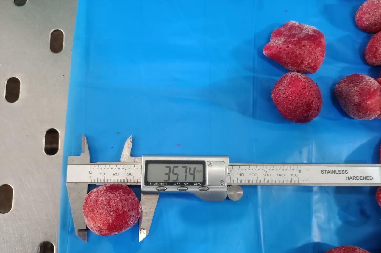 Fresas congeladas IQF Fecha de producción: abril-mayo de 2024 Grado: A (con análisis de pesticidas y microbiológico) Envase: caja de cartón de 10 kg de peso