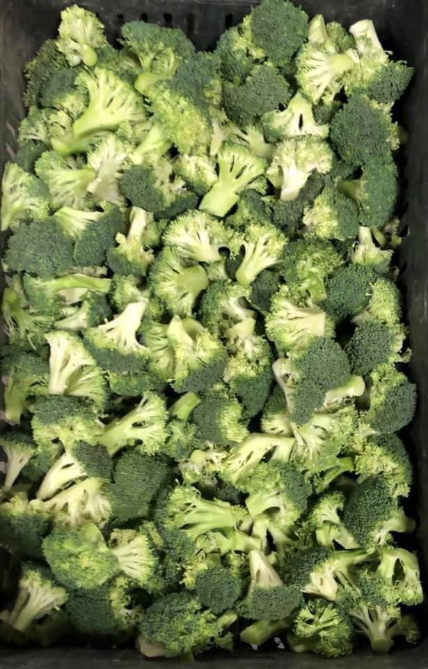 Floretes de brócoli congelados IQF: Grado: A Tamaño: 3-6 CM (Selectivo) Embalaje: Caja de cartón de 10 KG a granel en bolsa Cantidad por FCL: 25 toneladas sin