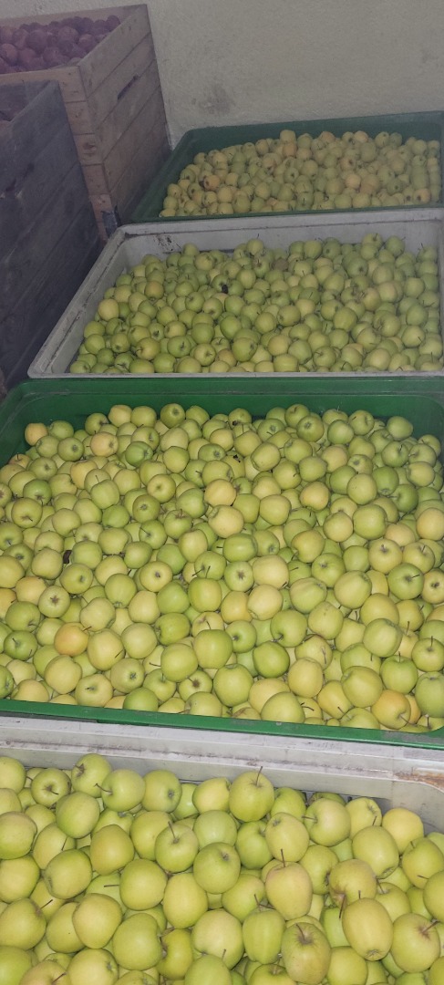 Compramos manzanas orgánicas y convencionales para pelar, en grandes cantidades que van desde 100 hasta 5000 toneladas