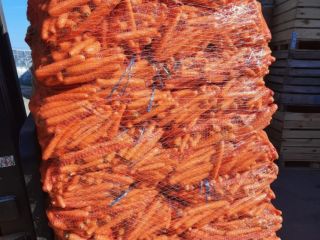 Zanahorias lavadas, calibre 2-4, 10 kg netos, venta a
