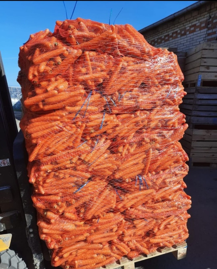Zanahorias lavadas, calibre 2-4, 10 kg netos, venta a partir de 22 toneladas, entrega incluida