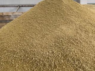 La planta procesadora de soja ofrece aceite de soja