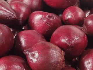 Hola, vendo remolacha variedad Monty, certificado de producción integrada,