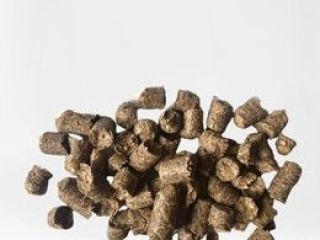 Hola, alimento para animales granulado de bagazo de cerveza.