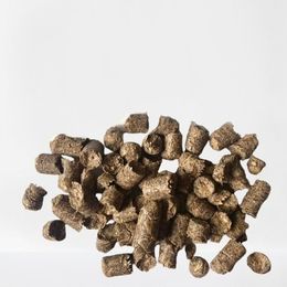 Hola, alimento para animales granulado de bagazo de cerveza