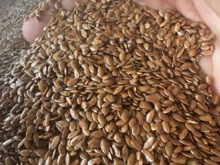 Exporter Trade Flax ofrece lino de calidad 99,9%. El