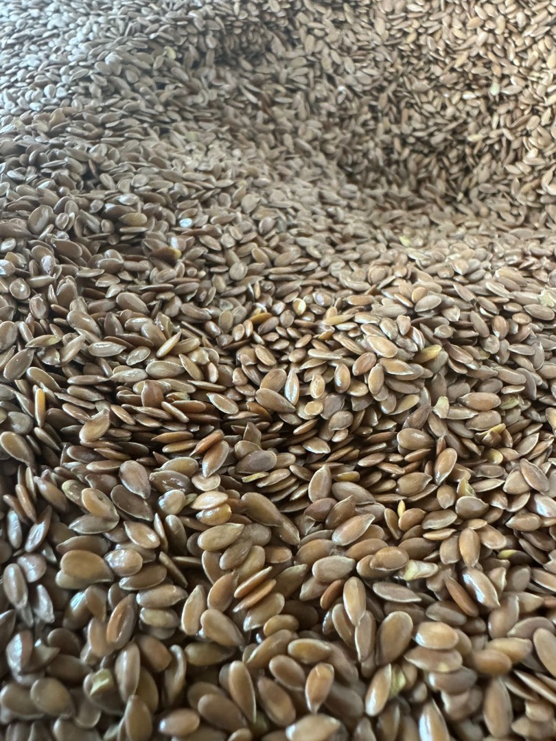 Exporter Trade Flax ofrece lino de calidad 99,9%