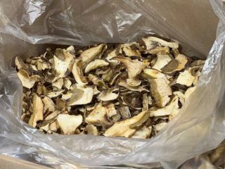 Ofrecemos setas silvestres (boletus, rebozuelos). Secas o congeladas.