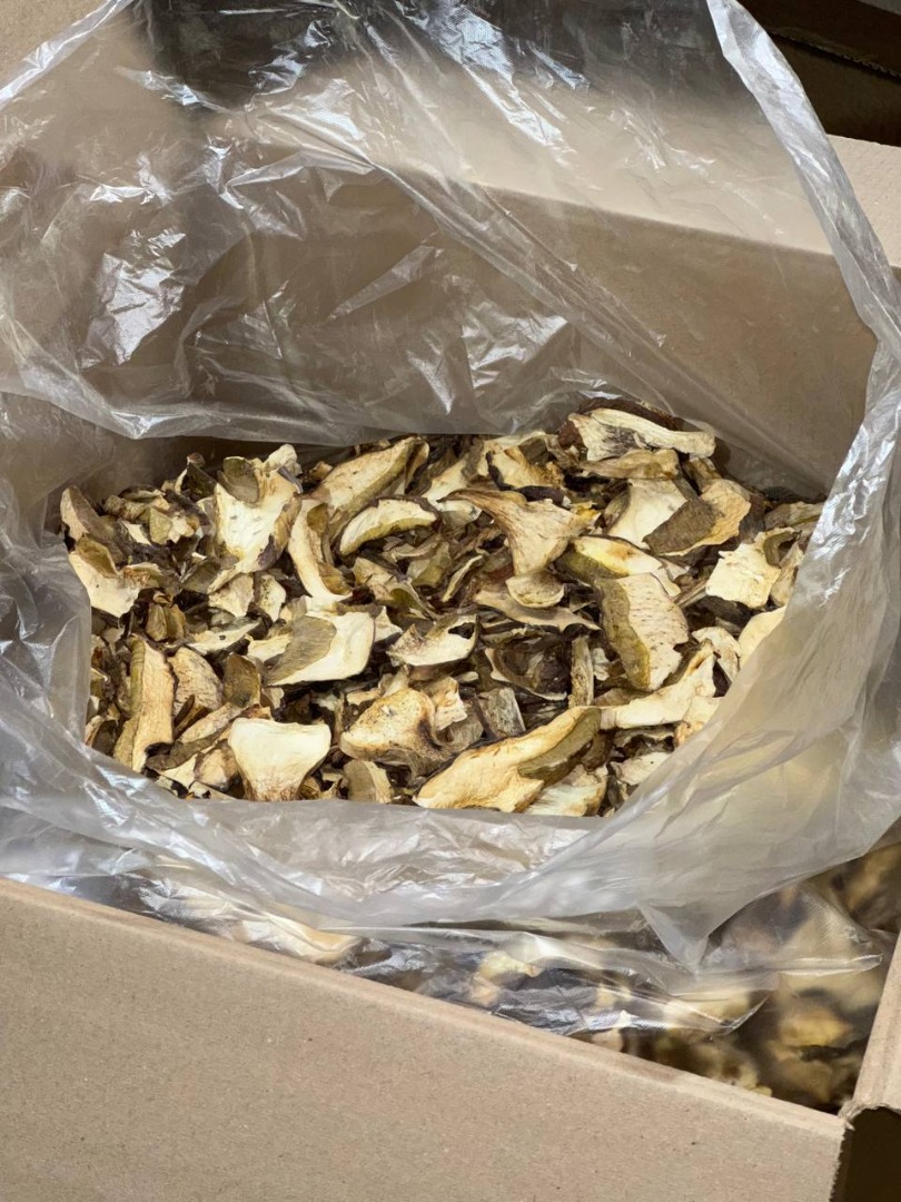 Ofrecemos setas silvestres (boletus, rebozuelos)