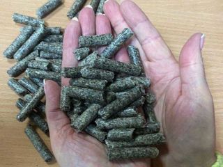 Ofrecemos pulpa de remolacha granulada sin aditivos en Big