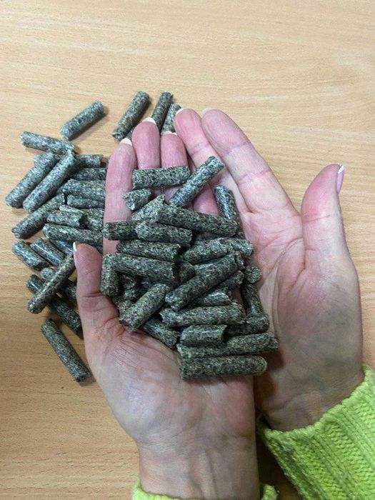 Ofrecemos pulpa de remolacha granulada sin aditivos en Big Bags Parámetros básicos (del certificado de calidad): Fracción masiva de proteína cruda: - 15