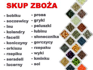 Compraré: cebada para pienso y consumo, trigo, guisantes, guisantes,
