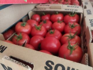 Tenemos a la venta un camión lleno de tomates,