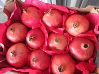 Exportación de frutos frescos de granada desde Uzbekistán, temporada