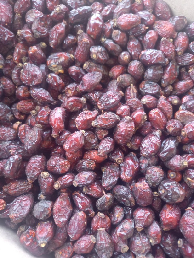 Exportación seca de rosa mosqueta desde Uzbekistán, embalaje de frutas en bolsas y cajas, exportación de hierbas secas de rosa mosqueta