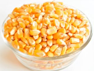 Maíz amarillo que se utiliza para preparar variedad de