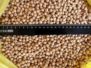 Venderemos garbanzos de calibre +6 +8.Calidad SORTEX.Por favor cotizar