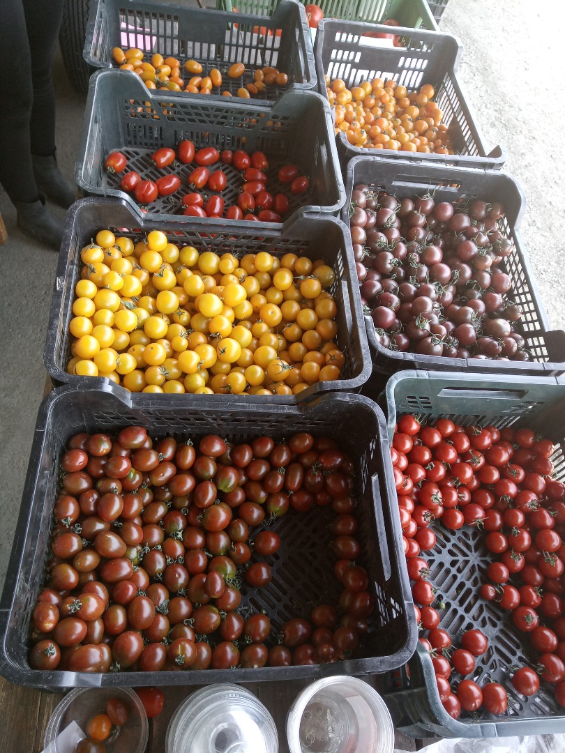 Tomates cherry en la mezcla