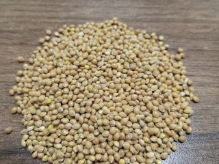 Ofrecemos mijo amarillo. La calidad cumple con los estándares