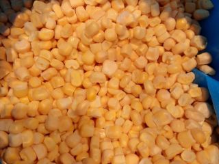 Producto de exportación de maíz dulce congelado iqf nuevo