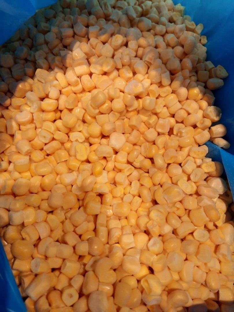 Producto de exportación de maíz dulce congelado iqf nuevo mes de agosto de 2024 año 1 kg - 0,75 euros caja de embalaje 10 kg y otros productos congelados iqf