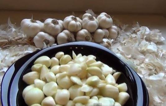 Ofrezco ajos blancos y violetas, primera y segunda categoría