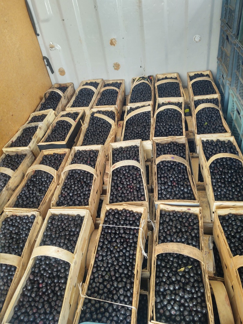 Se vende Arón