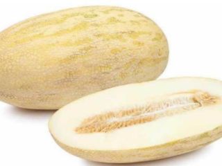 Buen día. Venderemos melones. Variedad - Torpedo. Importar Uzbekistán.