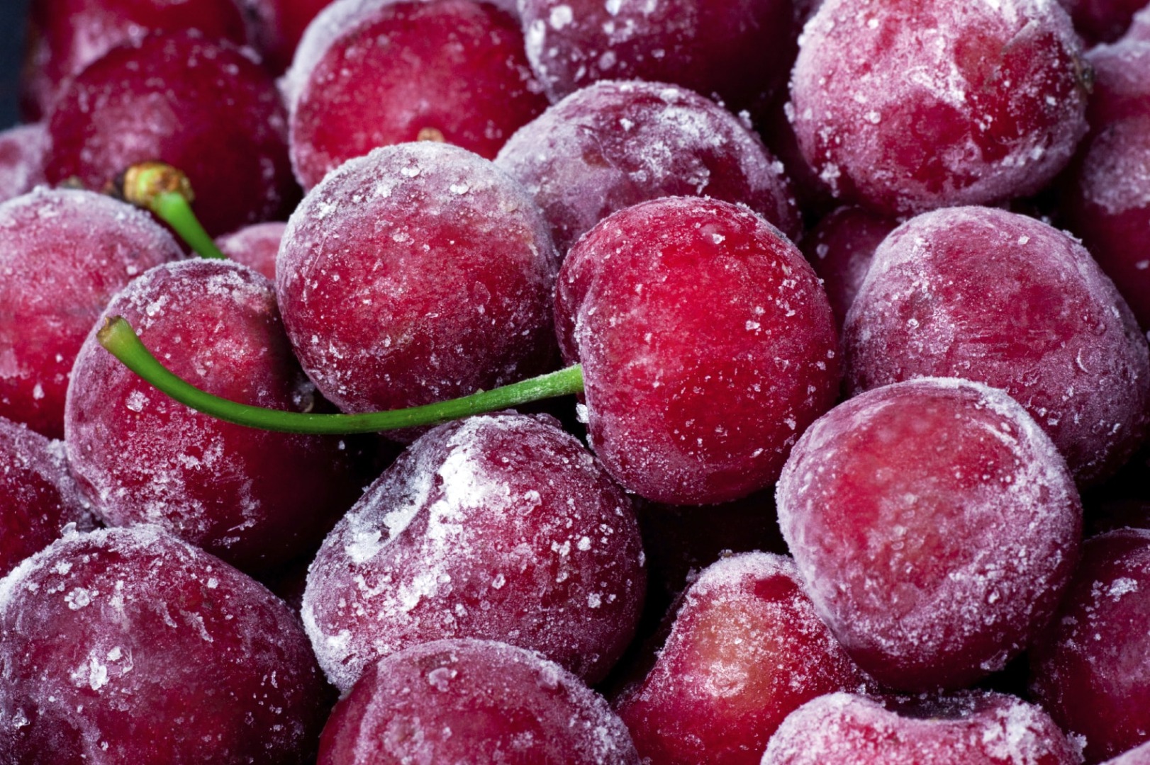Ofrecemos cerezas ácidas de alta calidad a precios competitivos en forma de congelación individual (IQF)