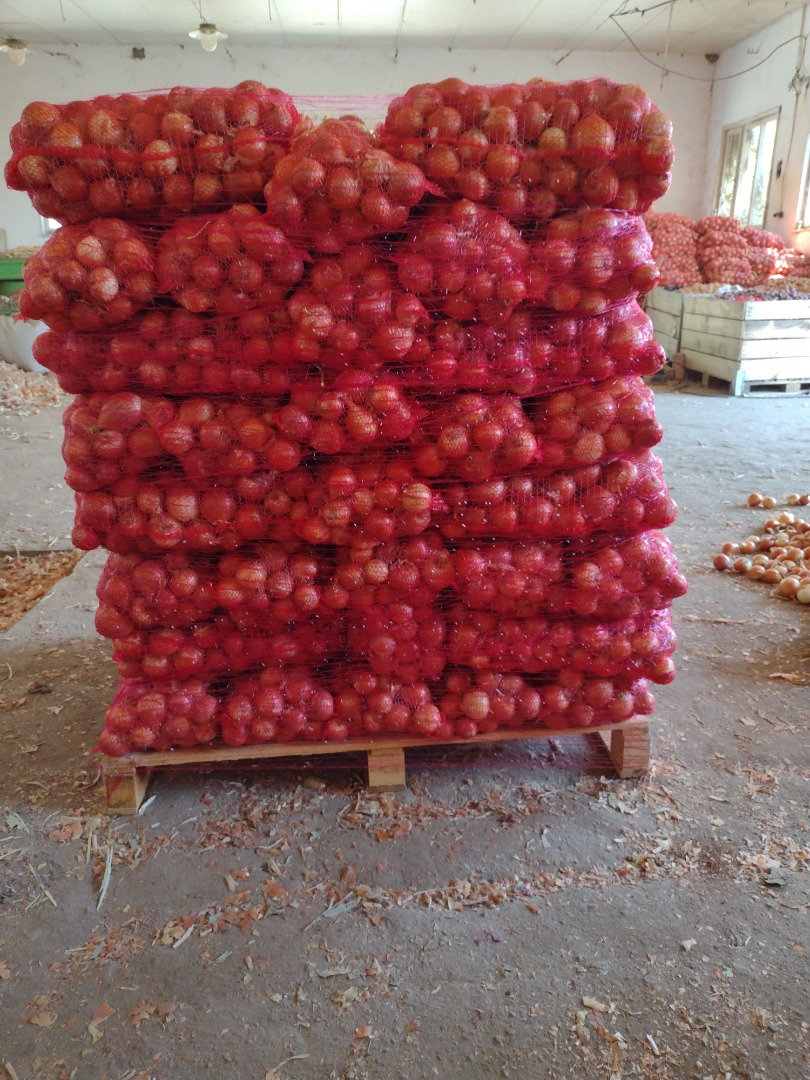 Vendo cebolla de la variedad Nogal, ubicada en el pueblo de Choba, región de Plovdiv