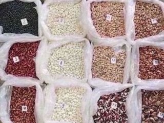 La empresa ucraniana Beans Natur Product se especializa en