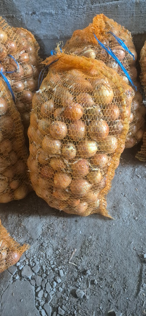 Venderé cebolla en bolsa de 15 kg, disponible para venta en Luz