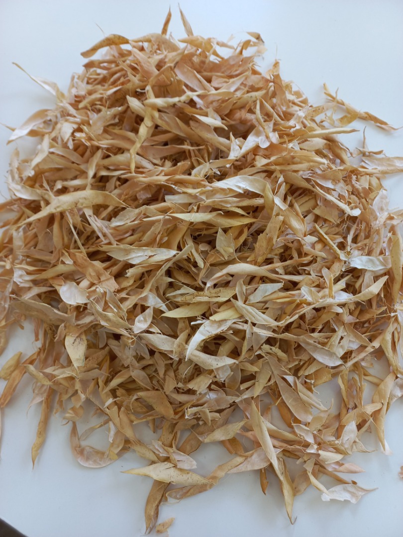 Compraré vainas de frijol secas (Phaseolus vulgaris L.) Precio negociable