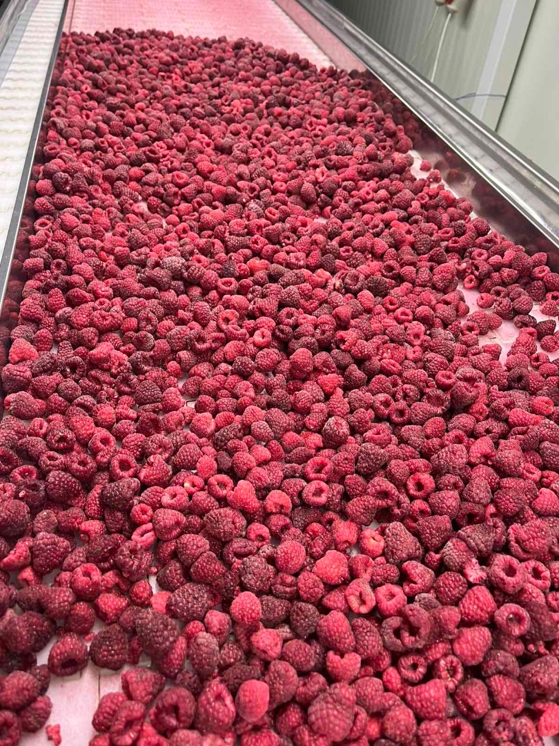Tengo una cantidad ilimitada de frambuesas congeladas para exportar