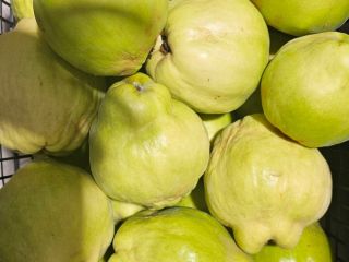 LAS FRUTAS QUE TE TRAEN SALUD EN OTOÑO, LLENAS
