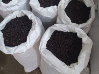 Presentamos nuestra Rosa Canina (escaramujo) deshidratada "Globe": tenemos 400
