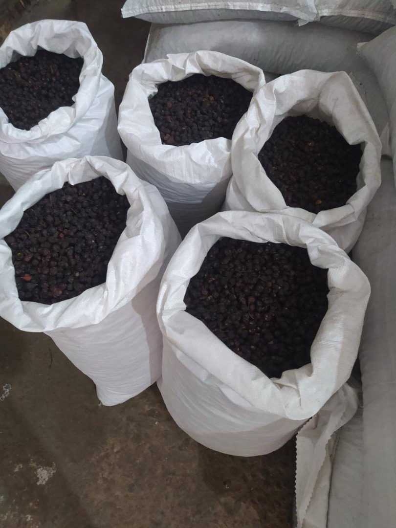 Presentamos nuestra Rosa Canina (escaramujo) deshidratada "Globe": tenemos 400 toneladas disponibles en Odessa, listas para su envío