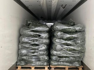 ❗️¡Vendemos verduras frescas rumanas al por mayor! ❗️¡Vendemos verduras