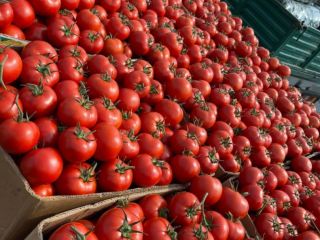 ❗️¡Vendemos verduras frescas rumanas al por mayor! ❗️¡Vendemos verduras