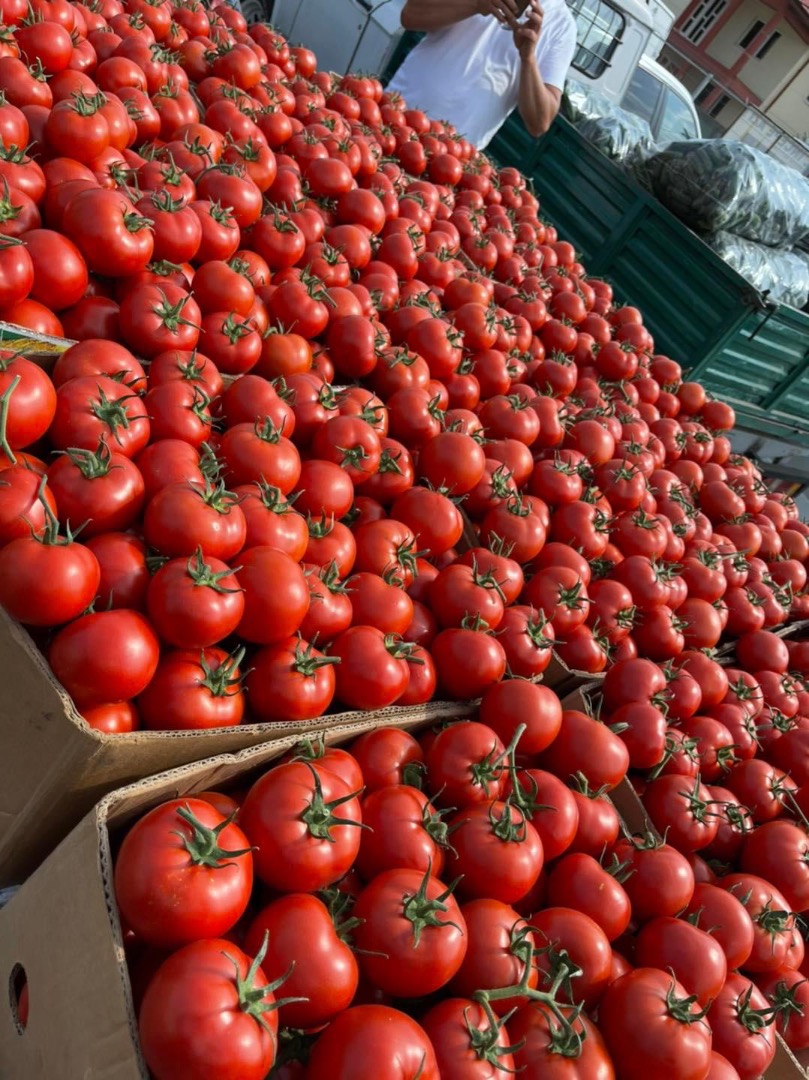 ❗️¡Vendemos verduras frescas rumanas al por mayor! ❗️¡Vendemos verduras frescas rumanas al por mayor! ☎️Más detalles al whatsapp al número telefónico ☎️Más