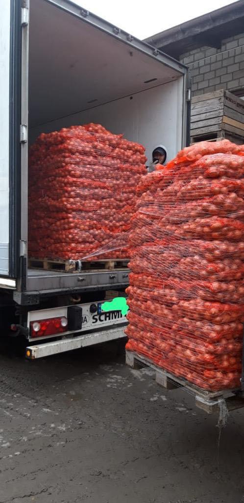 ❗️¡Vendemos verduras frescas rumanas al por mayor! ❗️¡Vendemos verduras frescas rumanas al por mayor! ☎️Más detalles al whatsapp al número telefónico ☎️Más