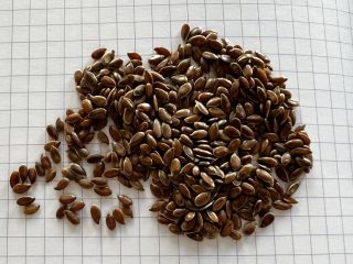 Nuestra empresa Ingran ahora puede ofrecer semillas de lino