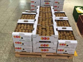 Venta de kiwis Hayward premium de IránImportación de kiwis