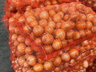 Vendemos cebollas para exportar desde Ucrania. Proporcionamos todo el